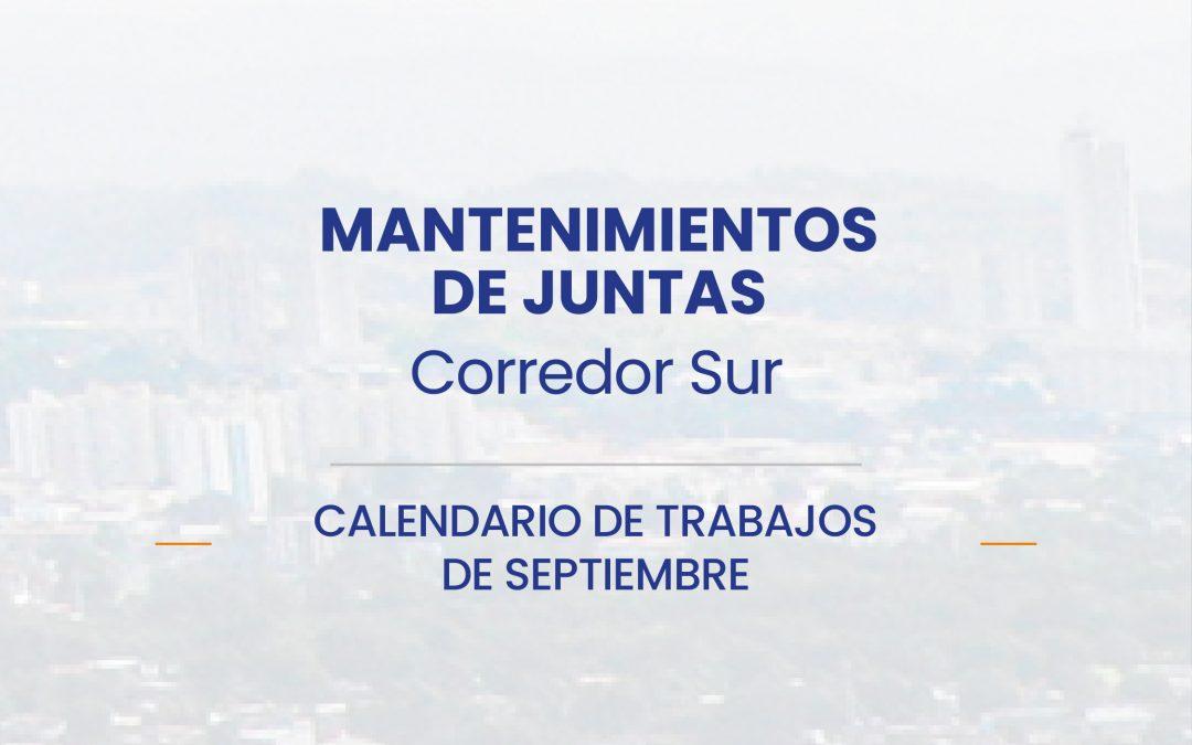 Mantenimiento de Juntas Corredor Sur